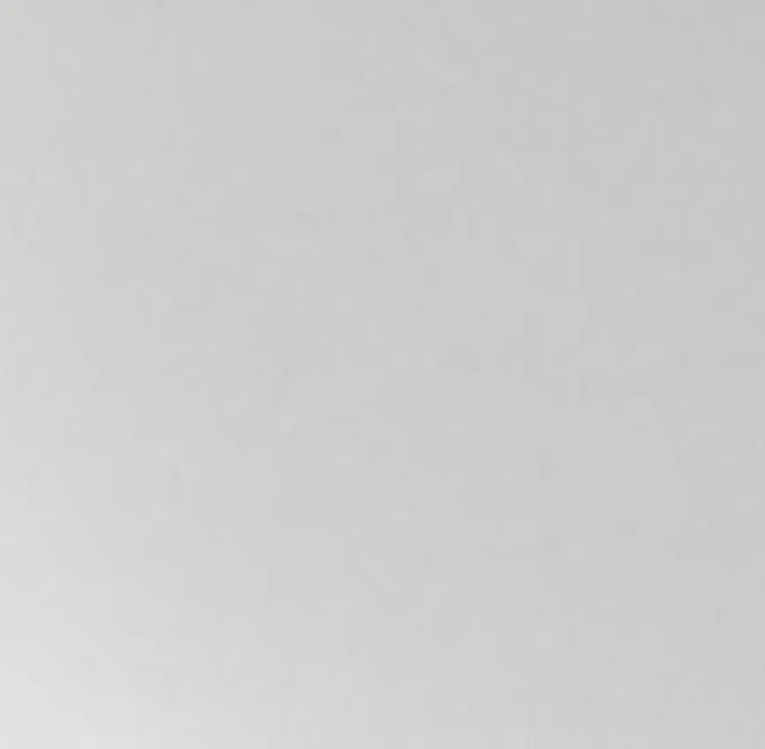 Gemüsemesser Basic PP-Griff material_farbe