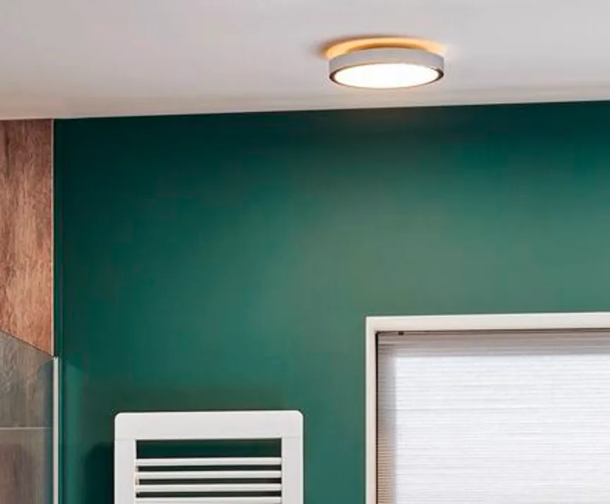 Deckenleuchte "Aviar" milieu