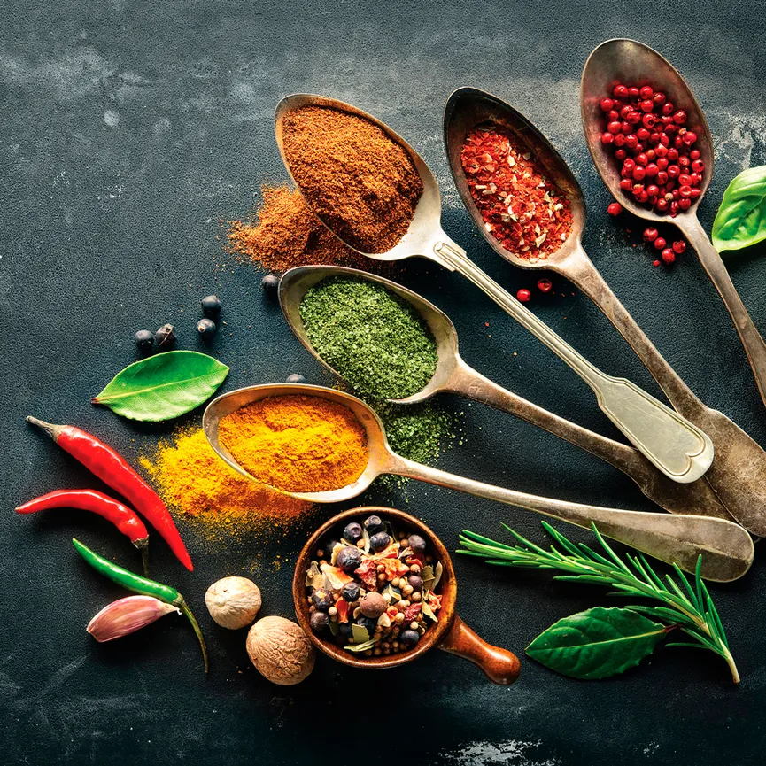 Küche / Kräuter - Herbs and Sp hauptaufnahme