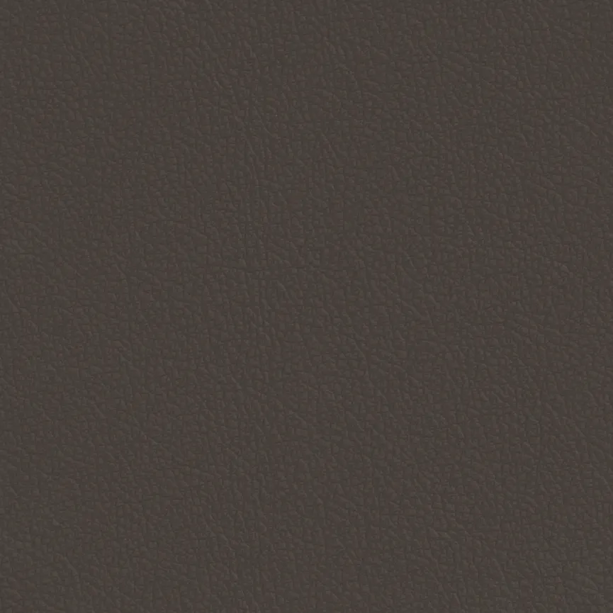 Poga RU V2A material_farbe