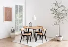 milieu