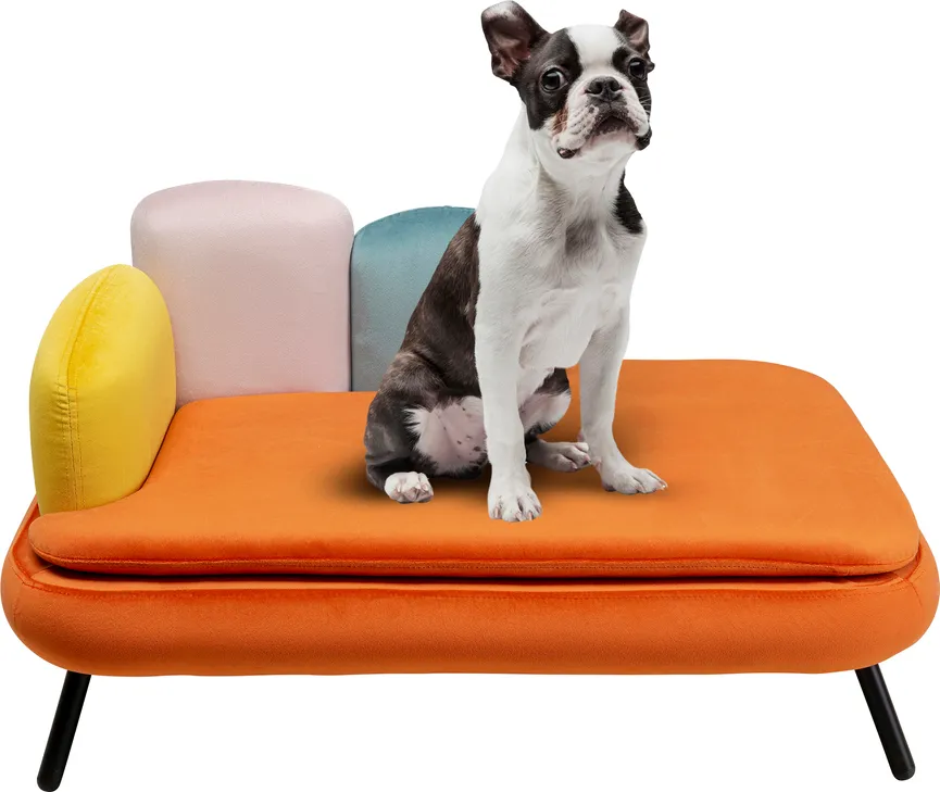 Hundebett Diva Orange hauptaufnahme