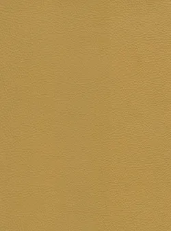 Mustard material_farbe