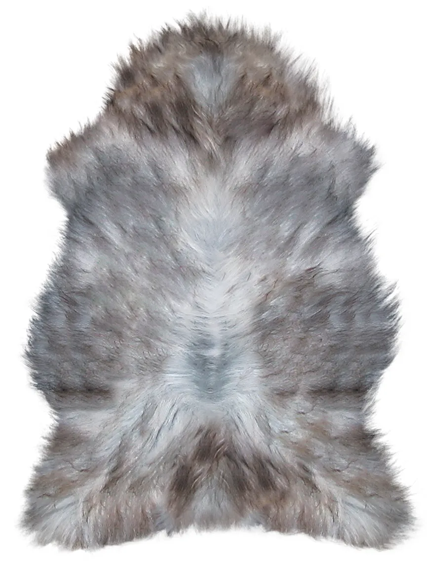 nordlandschnucken- hauptaufnahme