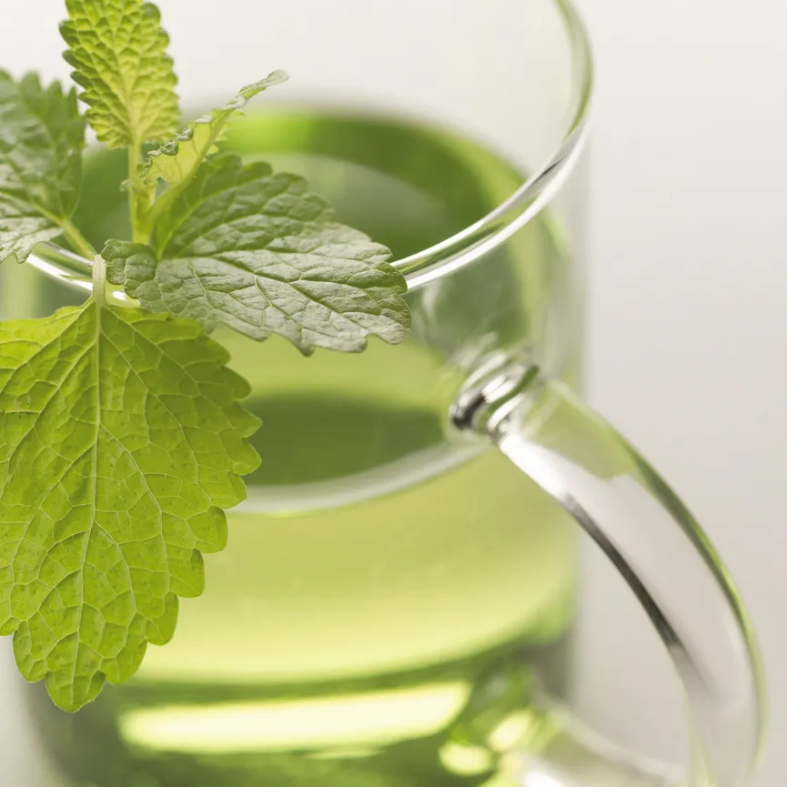 Becher "Novo" 300 ml detail