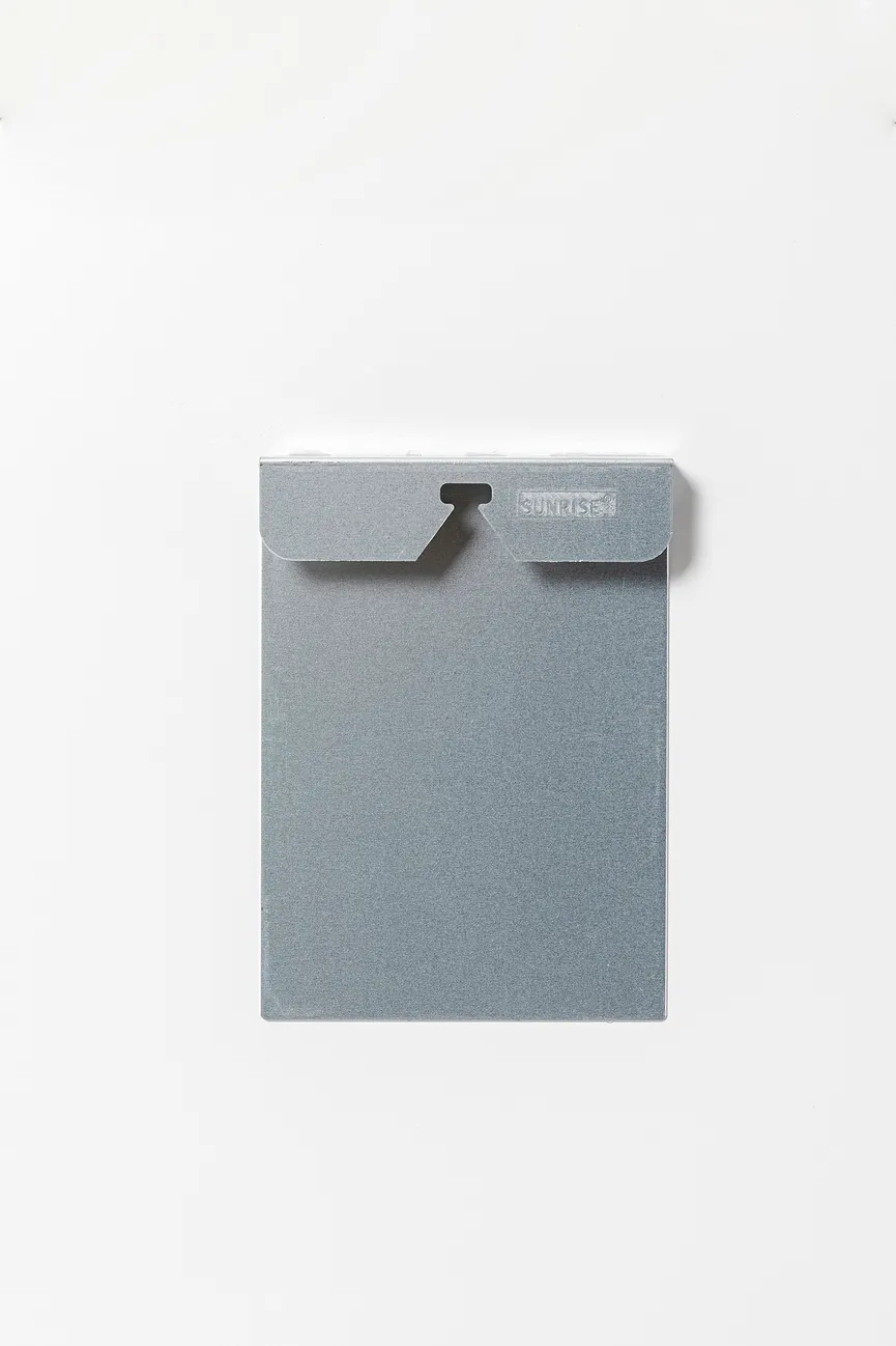 Glasbild Lion detail