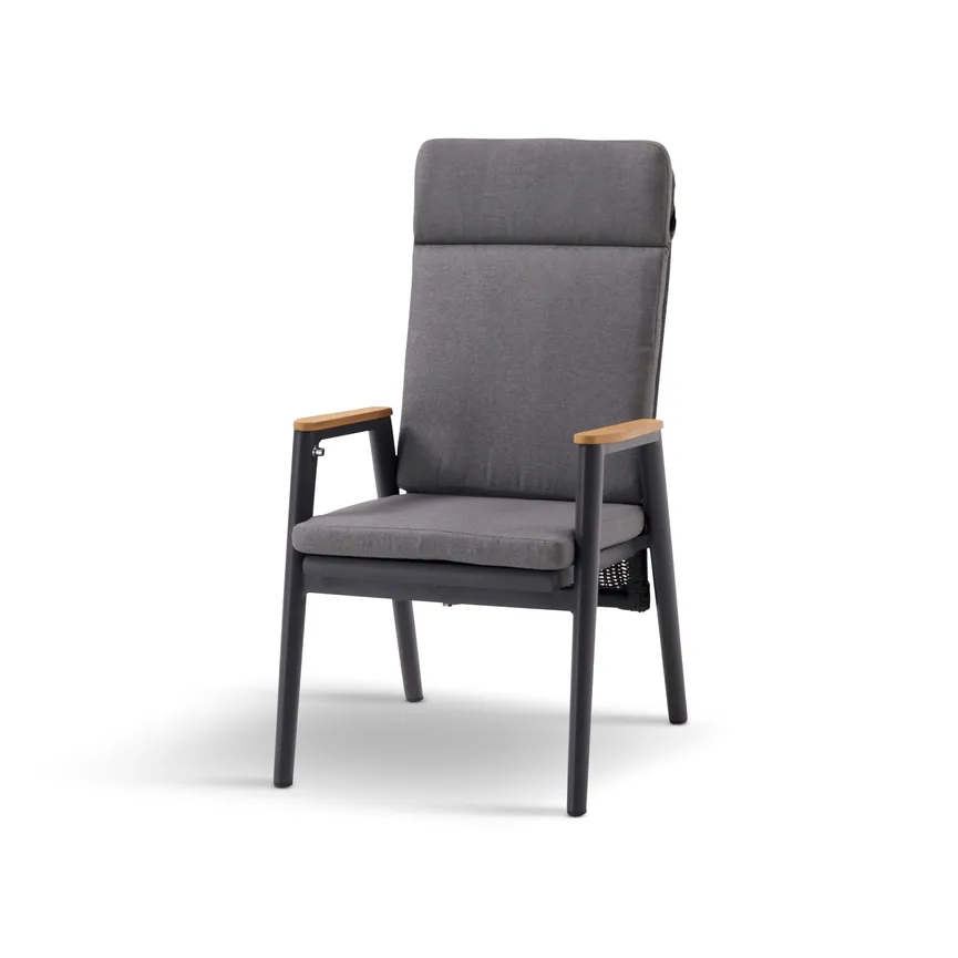 Dining Sessel hauptaufnahme