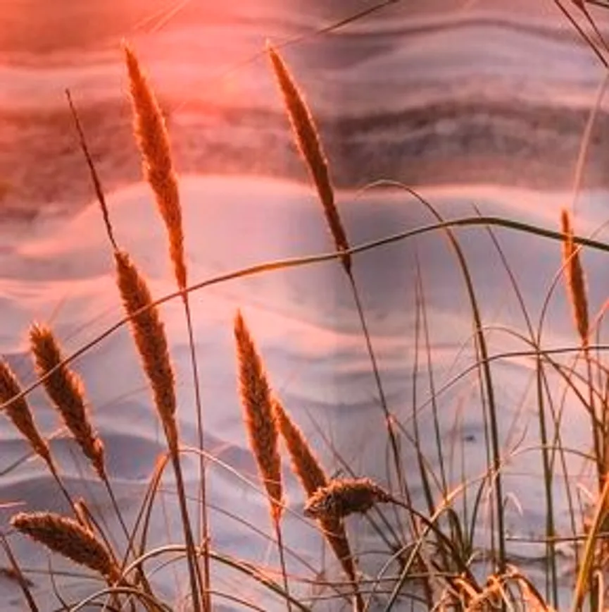 Duschvorhang Juist multi material_farbe