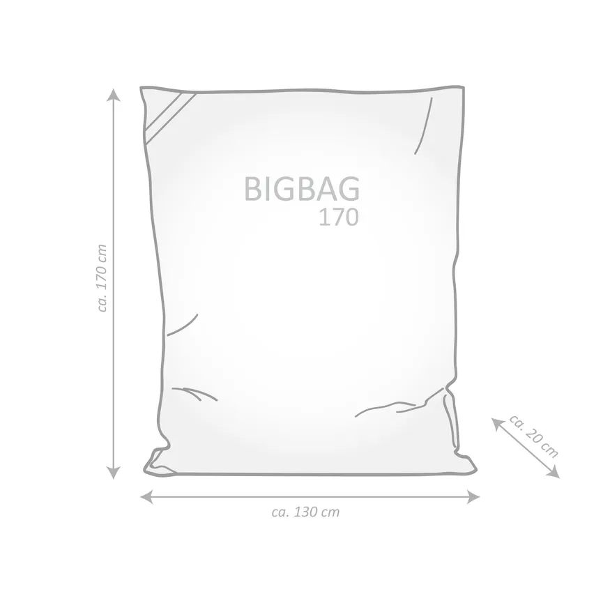 Sitzkissen BigBag FCB VIP detail