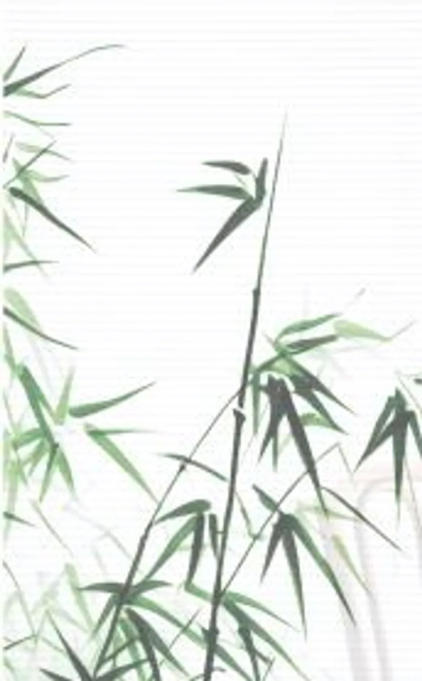 Schiebevorhang Rufus 2er-Set material_farbe