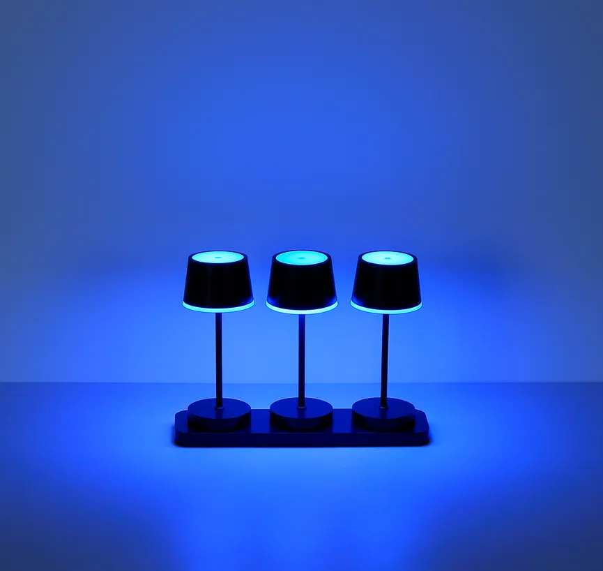 Akku-Tischleuchte "Dawson" detail