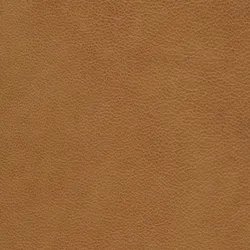 Cognac material_farbe