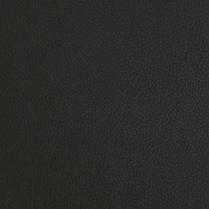 Stuhl (2 Stück) material_farbe
