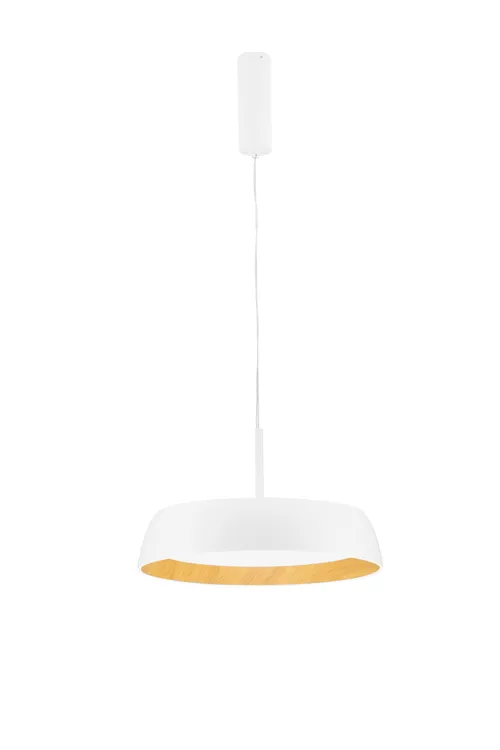 LED-Pendelleuchte