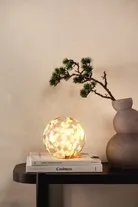 milieu