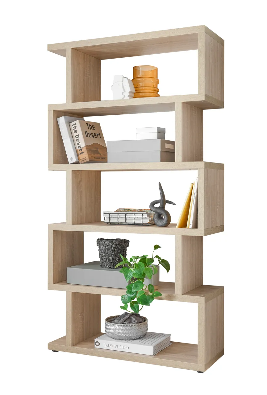Regal 5F hauptaufnahme