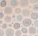 FARBE