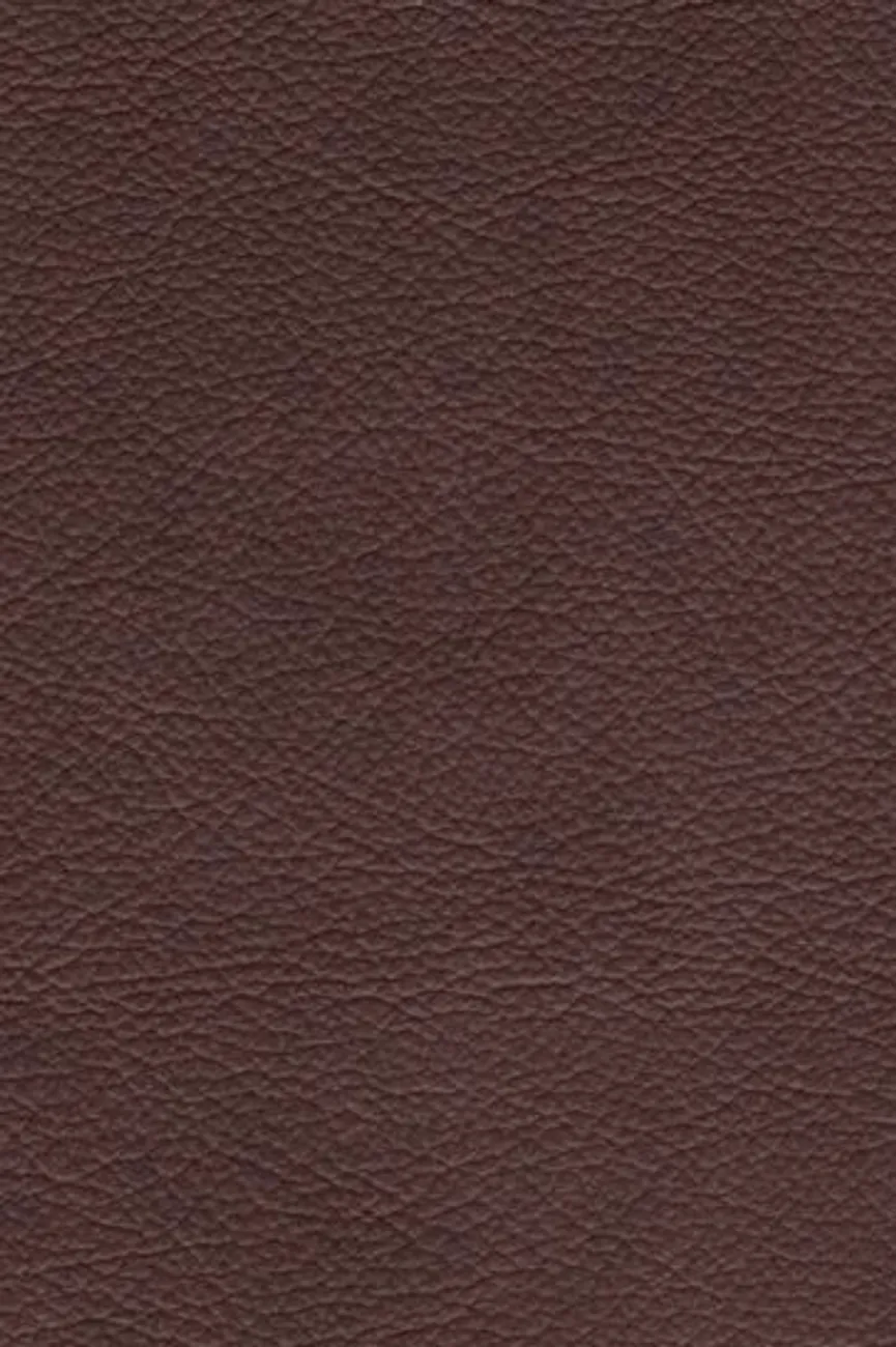 AL-Stuhl Eisen material_farbe
