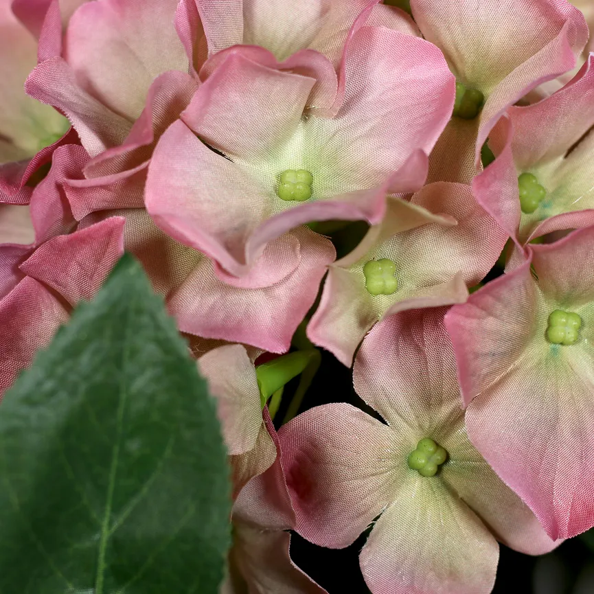 Premium Hortensien-Arrangement detail