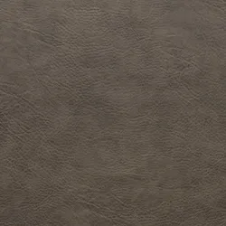 Mushroom material_farbe