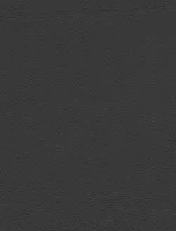 Ash material_farbe