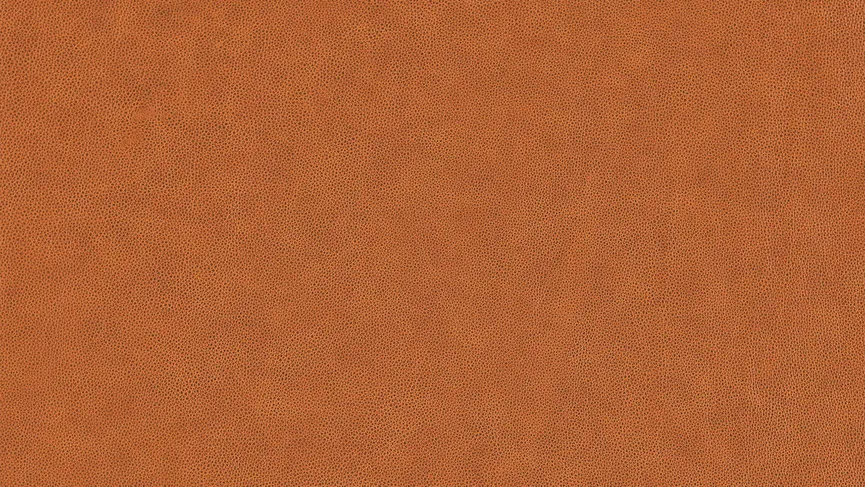 Liege B2 K95+F2 material_farbe