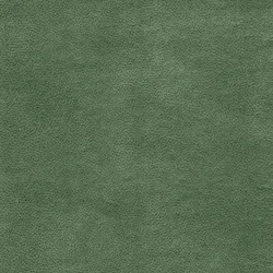 Grün material_farbe