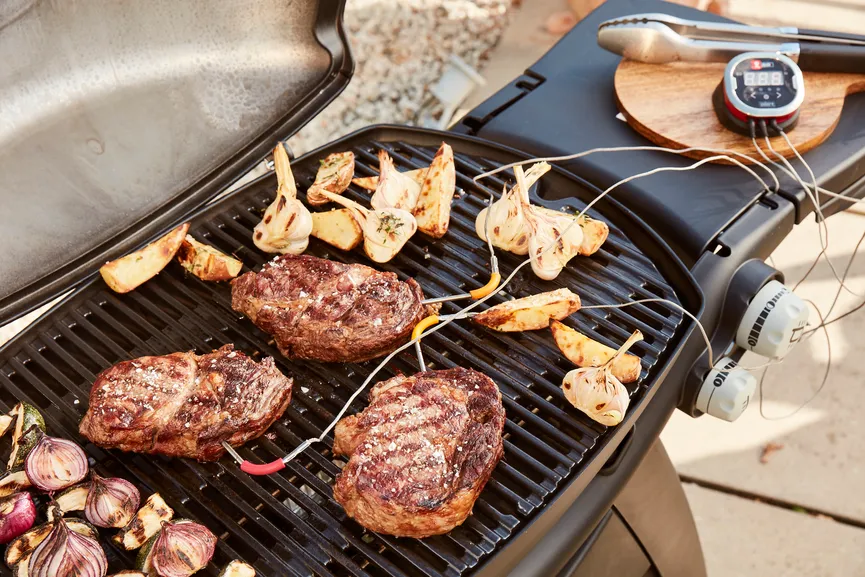 ** Weber iGrill Fühler detail