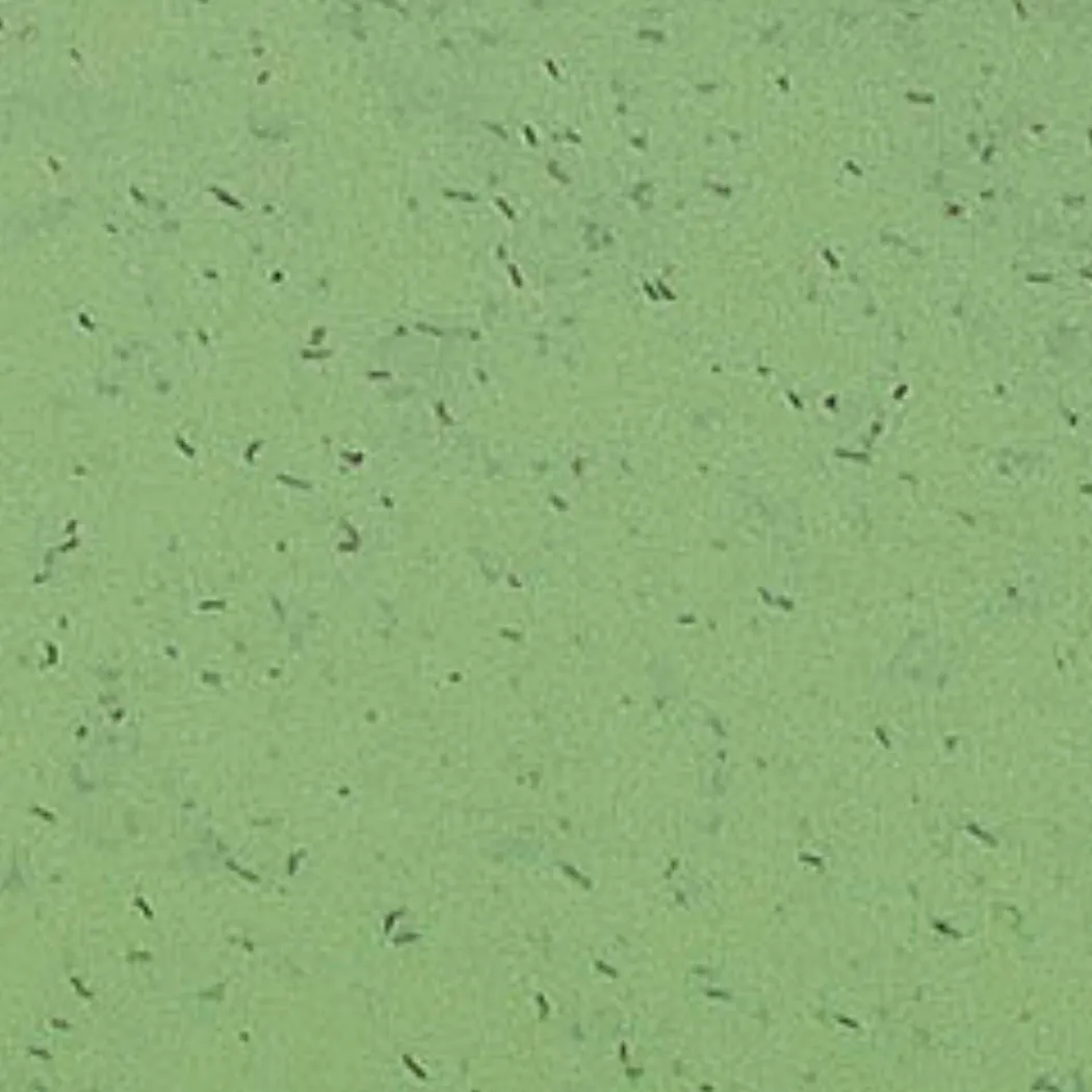 material_farbe