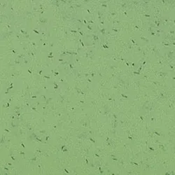 Grün material_farbe