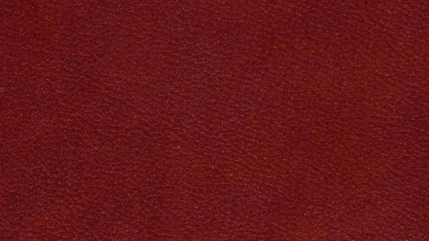 Poga groß Wildeiche material_farbe