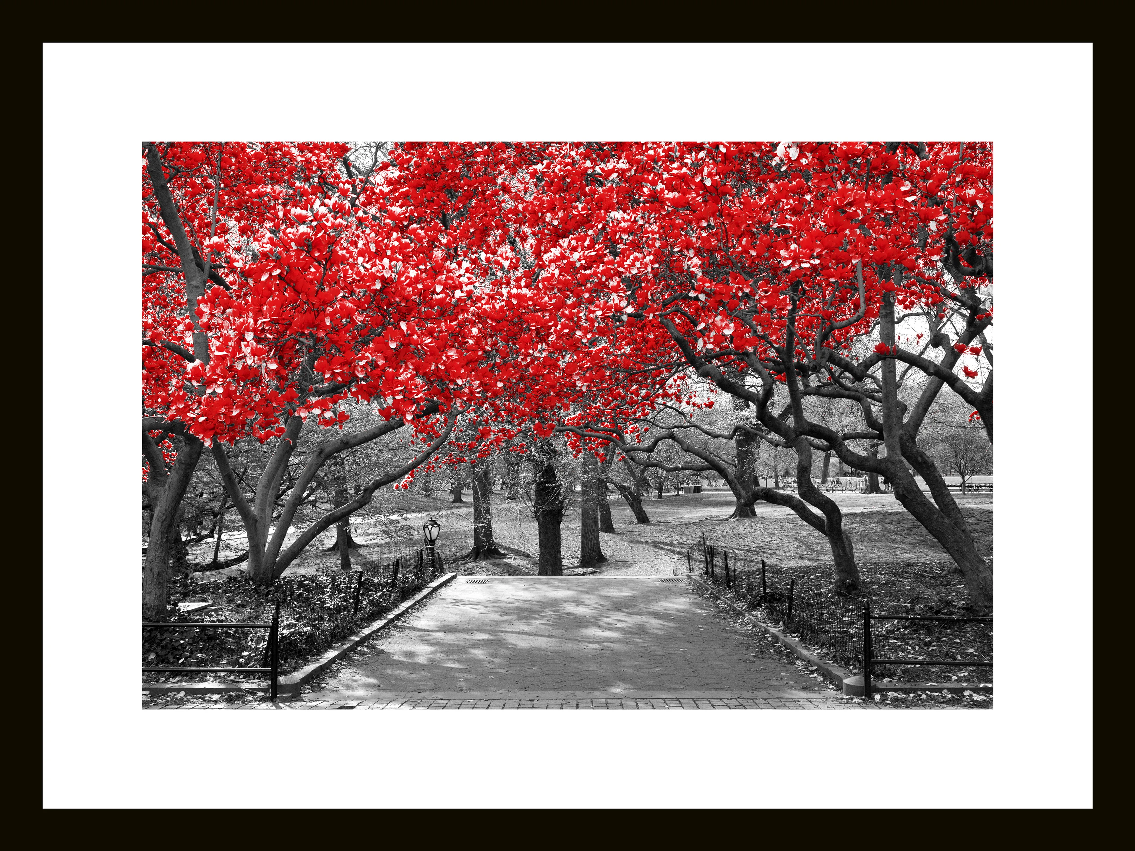 Glasbild 30 x 40 cm Red Tree III
