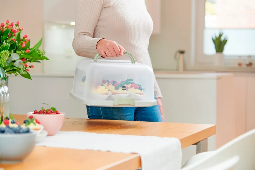 Kuchentransportbox eckig grün milieu