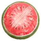 hauptaufnahme