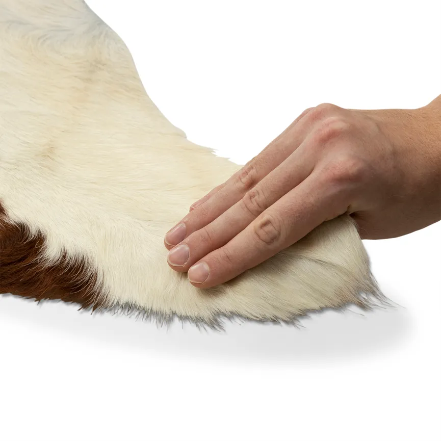 Cow Hides detail