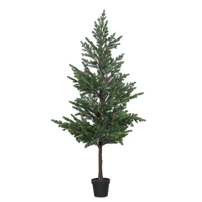Weihnachtsbaum