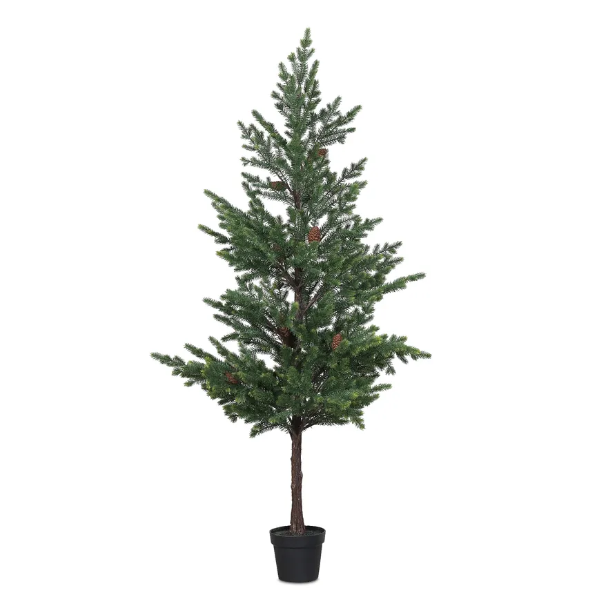 Tannenbaum L hauptaufnahme