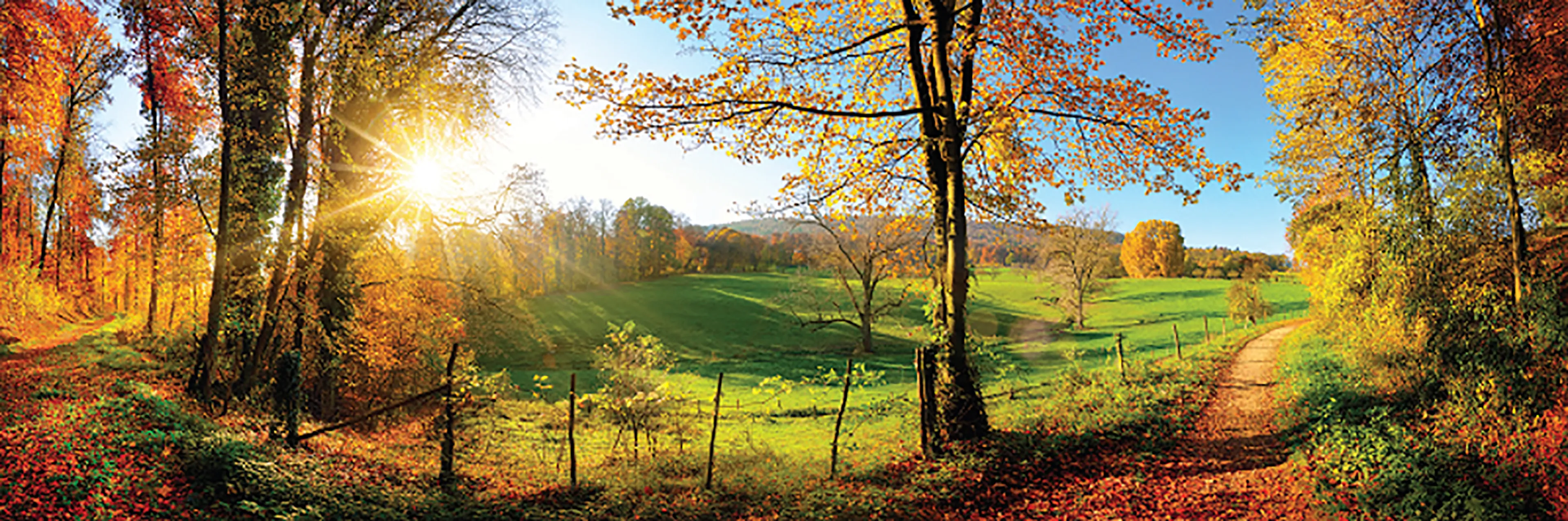 Wandbild 60 x 180 cm Romantic View