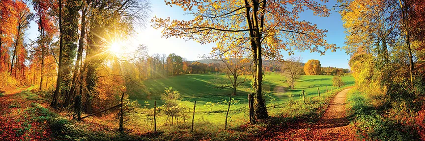 Landschaft Wald Herbstromantic hauptaufnahme
