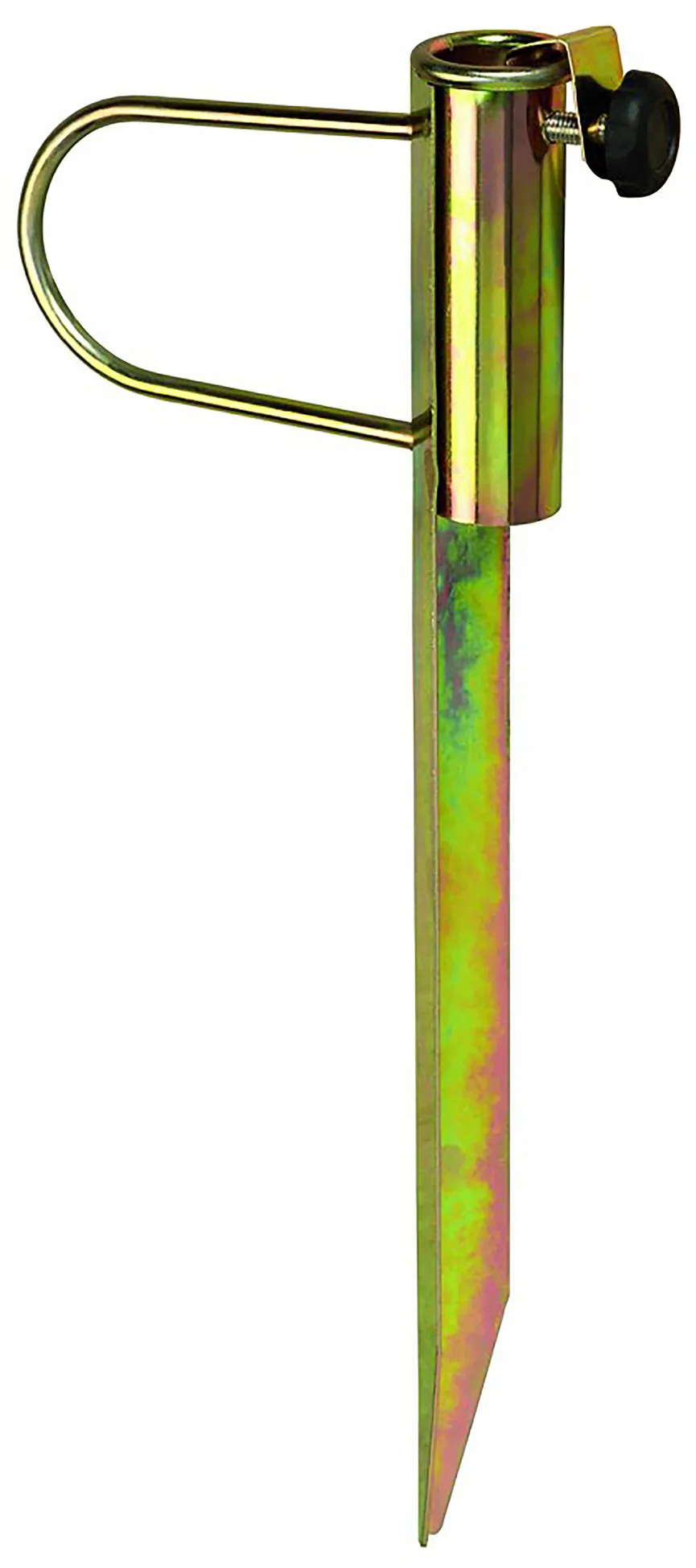 Rasendorn hauptaufnahme