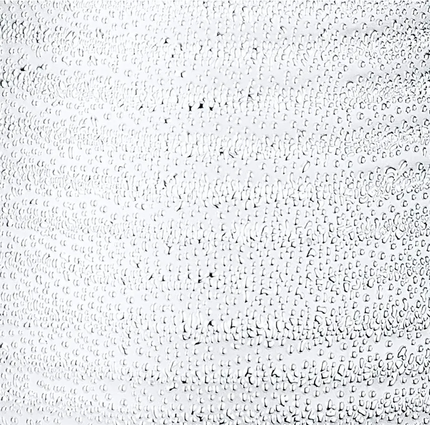 Zahnputzbecher Polaris Juwel material_farbe