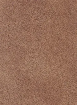 Bernstein material_farbe