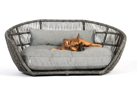 View Hundesofas Category