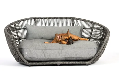 View Hundesofas Category