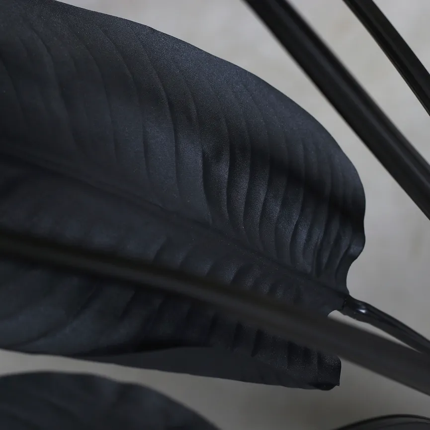 Strelitzie M schwarz detail