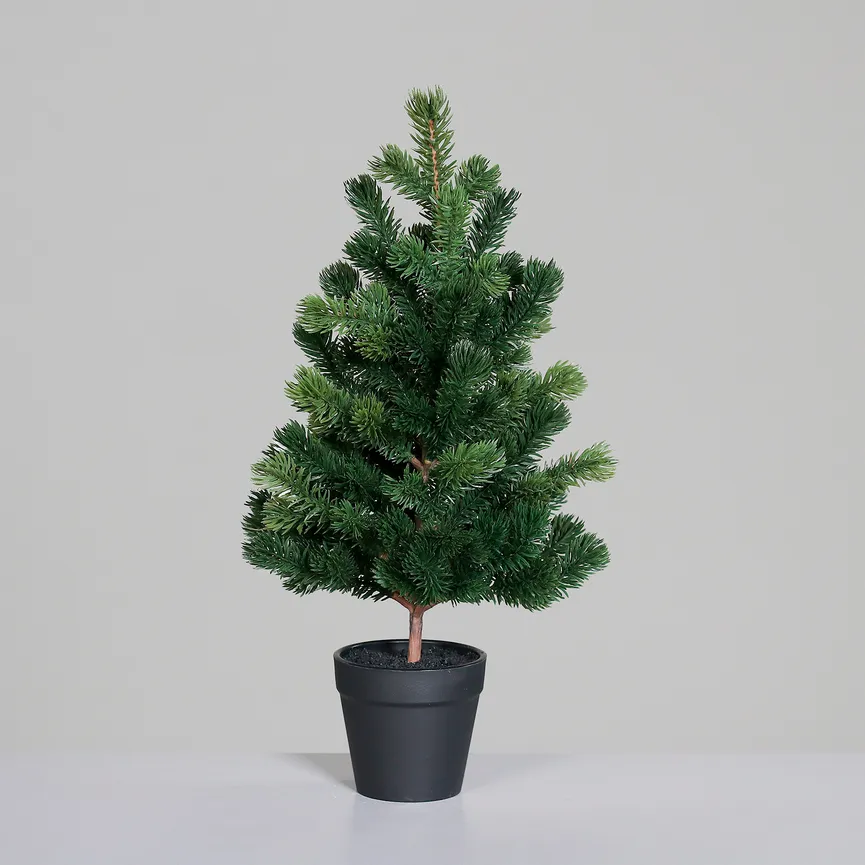 Tannenbaum S milieu