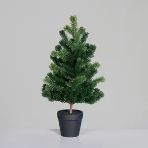 Weihnachtsbaum