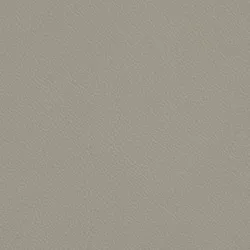 Platin material_farbe