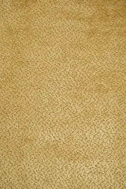 Honey material_farbe