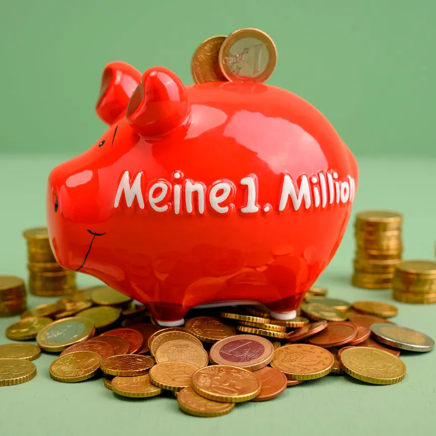 Sparschwein "Meine 1. Million" milieu